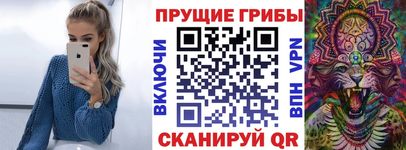 сколько стоит  Чаплыгин  Галлюциногенные грибы Magic Shrooms 